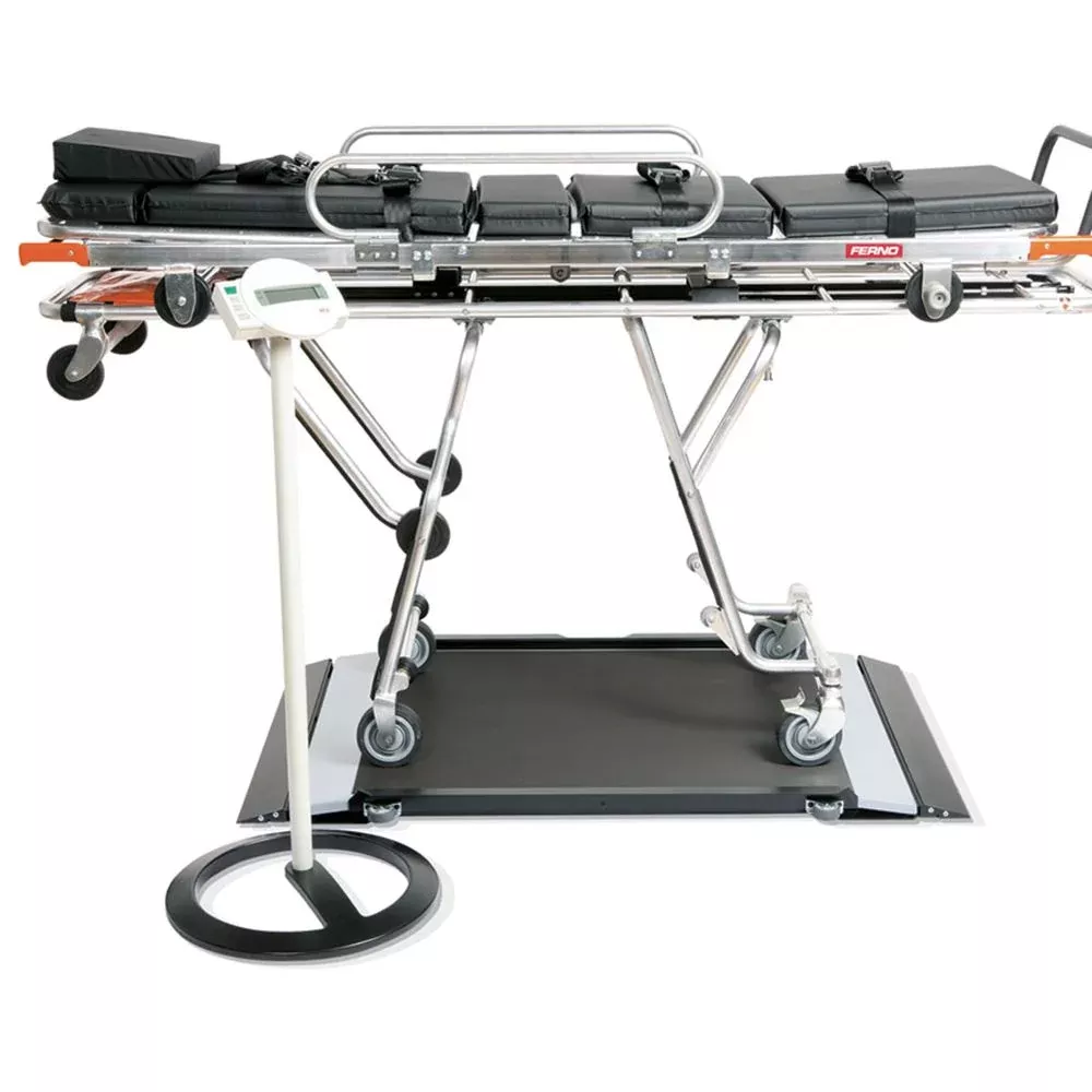 Alimed seca 656 Platform Scale seca 656 Platform Scale - 936102
