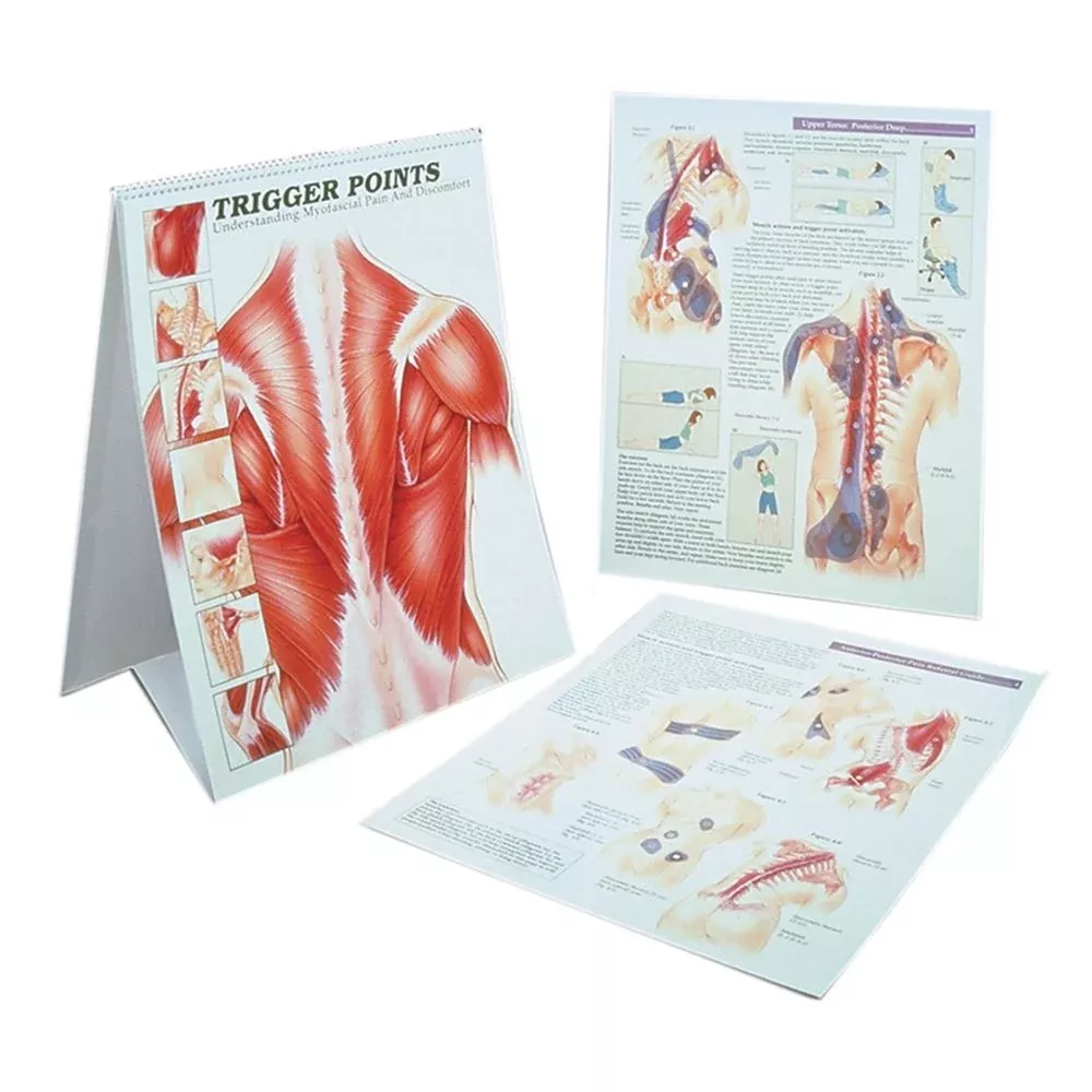 Alimed Trigger Point Charts Trigger Point Charts - 73367