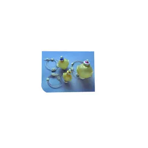 Avanos C060020 - Homepump C-Series Ambulatory Infusion Pump, 60 mL, 2 mL/hr Duration