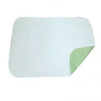 Briggs 560-7053-0000 - Reusable Underpad DMI 28 X 36 Inch Polyester Moderate Absorbency