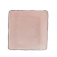 Dermarite 00502E - Silver Collagen Dressing DermaCol/Ag™ 2 X 2 Inch Square Sterile