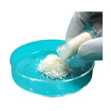 Maiden Biosciences CP-10 - Collagen Wound Dressing Powder, 1 gram
