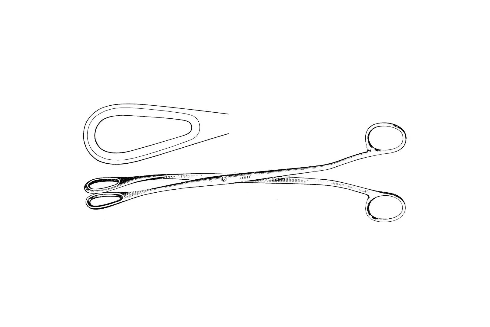 Medline Barret Placenta Forceps - FORCEP, BARRETT PLACENTA, SLT CVD, 10" - MDS7214418