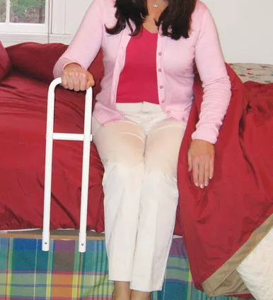 Mobility Transfer Systems 2025 - Transfer Handle Bed Rail, 22" H x 6" W, 30" L x 27" W Bed Board
