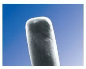 Oasis Eye Punctal Plug SOFT PLUG Collagen Collagen Temporary Occlusion Duration 2 mm Length 0.4 mm Diameter - Box of 60 - 6504-BX
