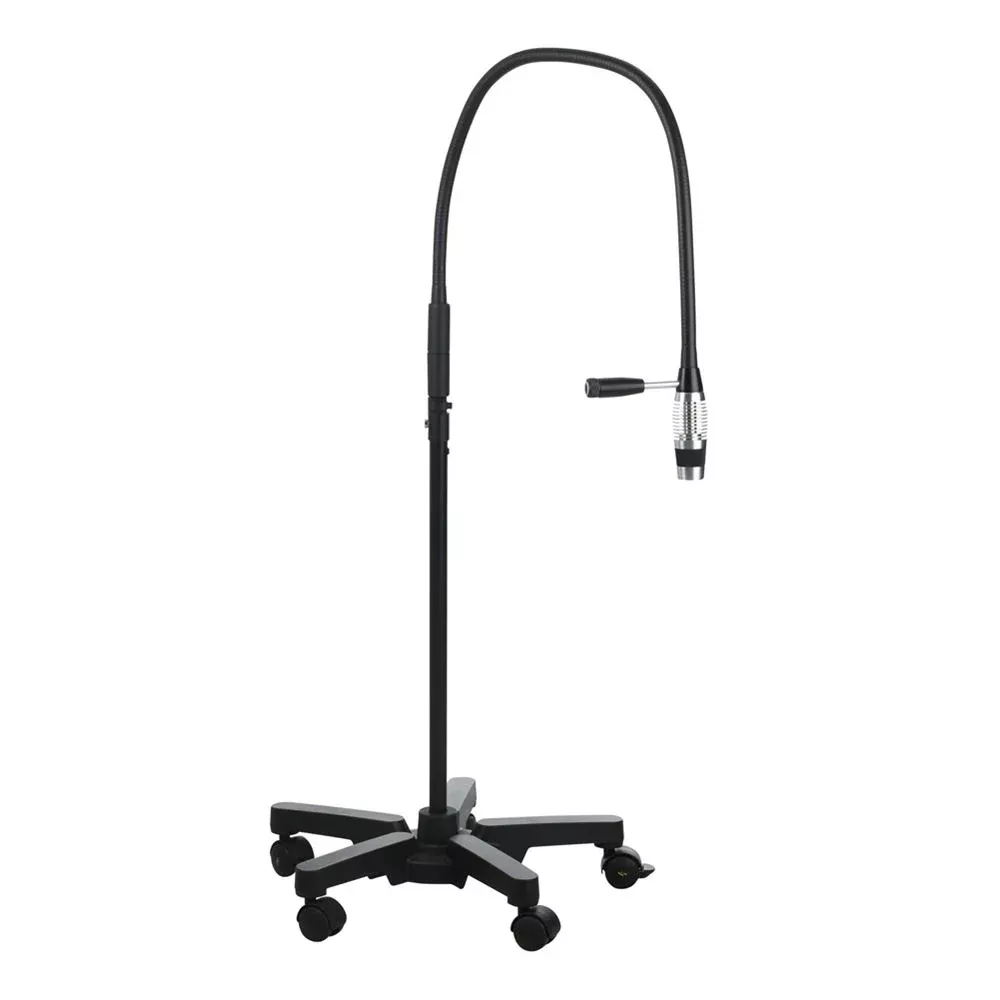 Riester ri-magic HPLED Exam Light HPLED Exam Light, Floor Model with Casters - 939288