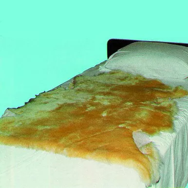 Sheepskin Ranch 101 - Sofsheep Sheepskin Pad, 3 ft. x 2-1/2 ft., Beige